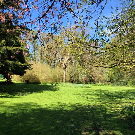 Springwood - Royal Hillsborough Villa Buitenkant foto
