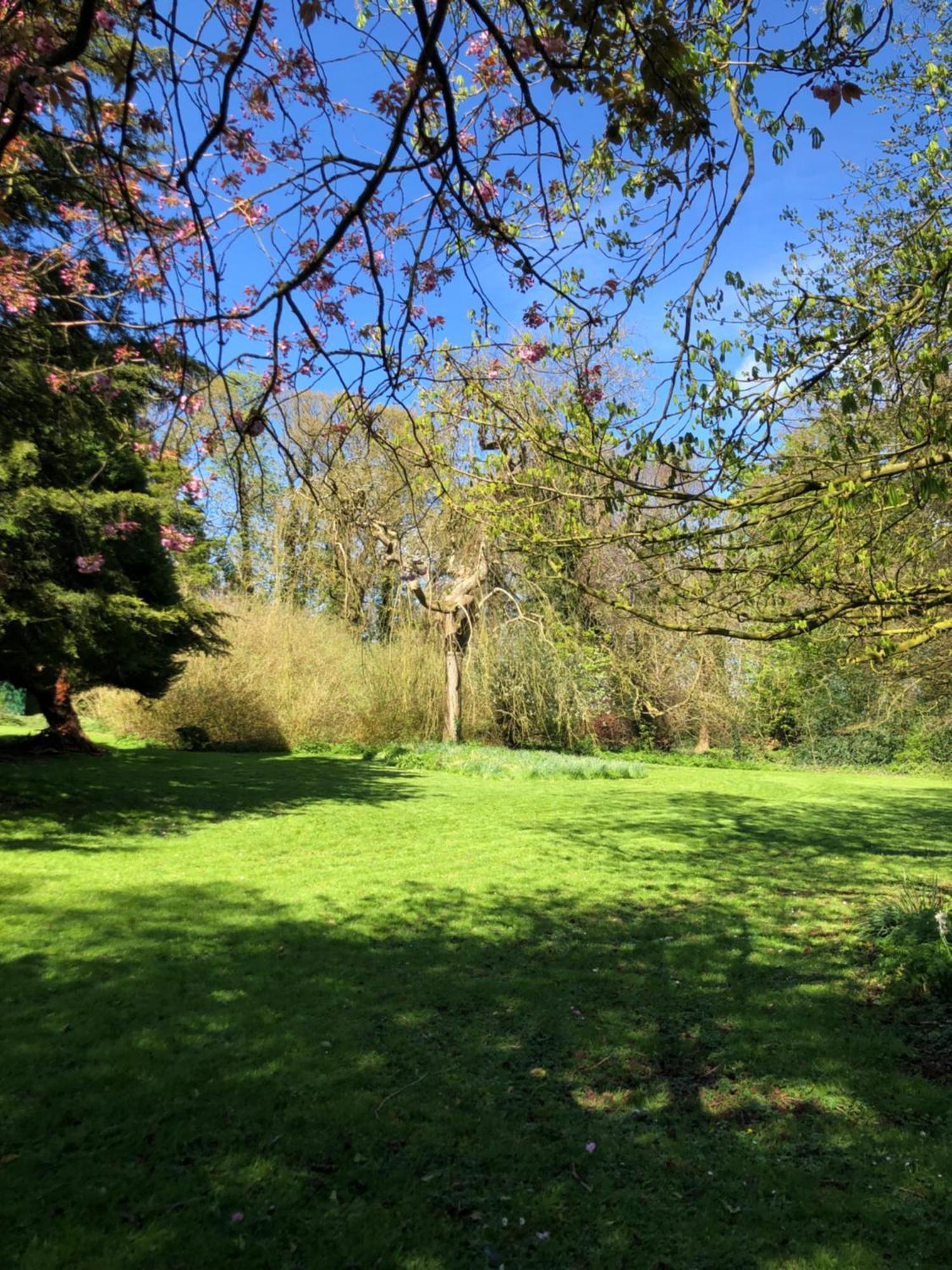 Springwood - Royal Hillsborough Villa Buitenkant foto