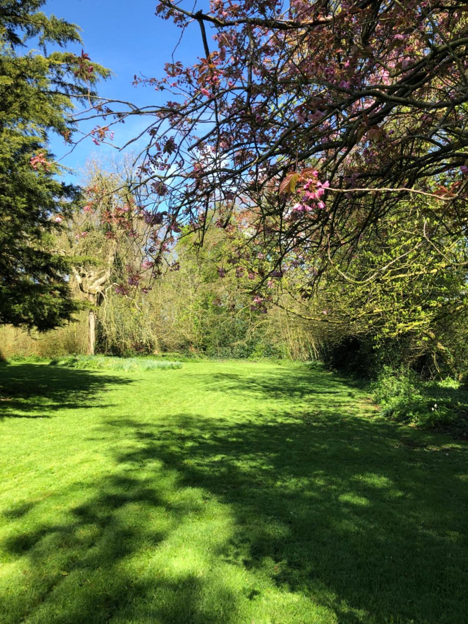 Springwood - Royal Hillsborough Villa Buitenkant foto